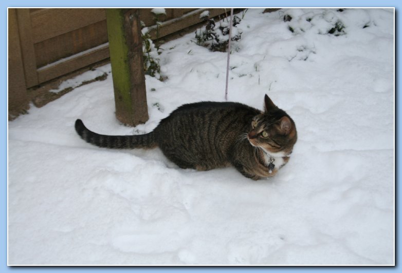 Arnhem Snow 062
